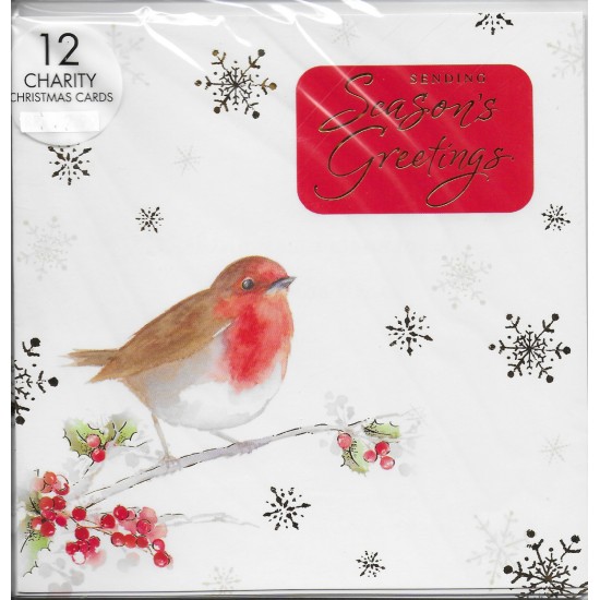 Medium Charity Christmas cards - Robin (DELIVERY TO SPAIN ONLY)