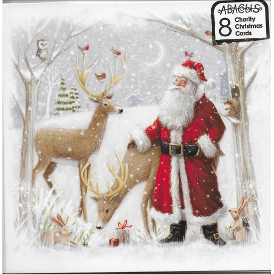 Medium Charity Christmas cards - Santa reindeer (DELIVERY TO SPAIN ONLY)