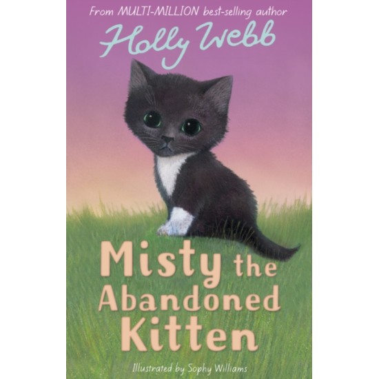 Misty the Abandoned Kitten (Puppy & Kitten Rescue Series) - Holly Webb (DELIVERY TO EU ONLY)