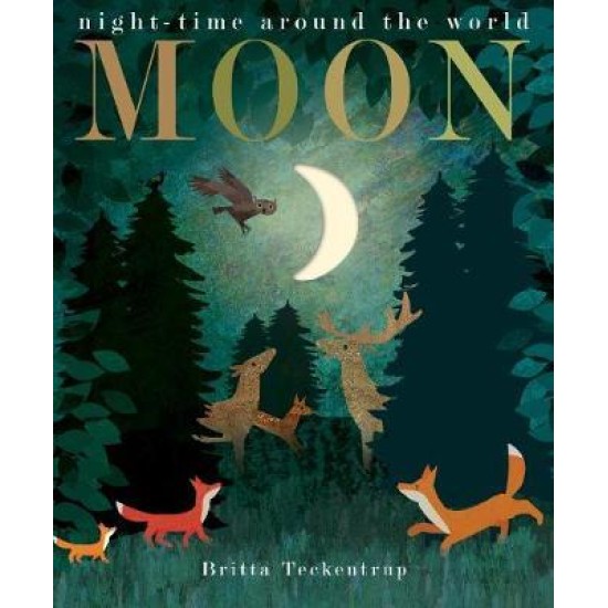 Moon - Patricia Hegarty