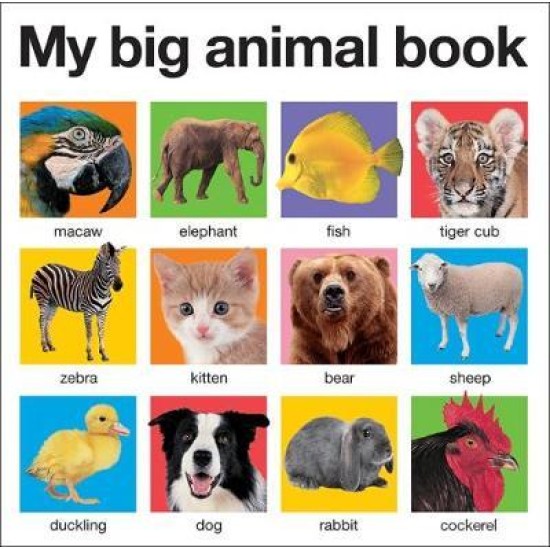 My Big Animal Book - Roger Priddy