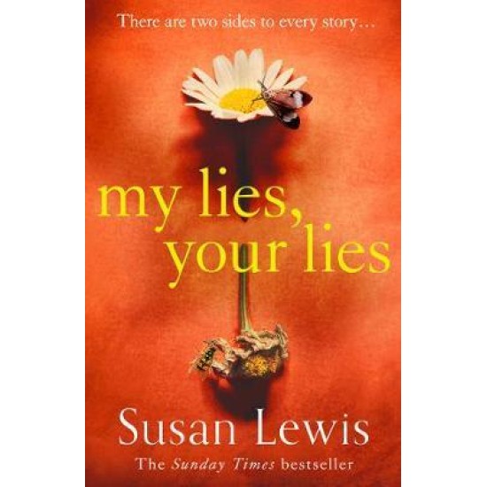 My Lies, Your Lies - Susan Lewis