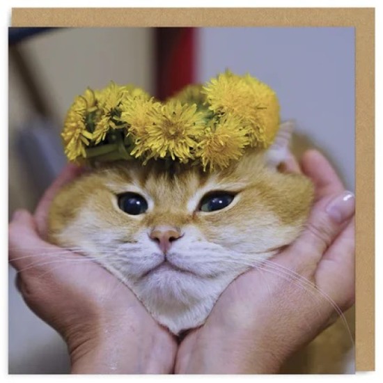 OHD Cards - Cat Heart Face Greeting Card