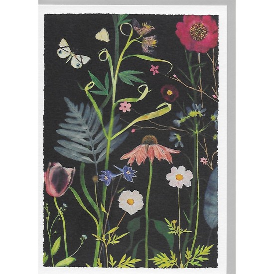 OHD Cards - Fern and Echinacea Greeting Card