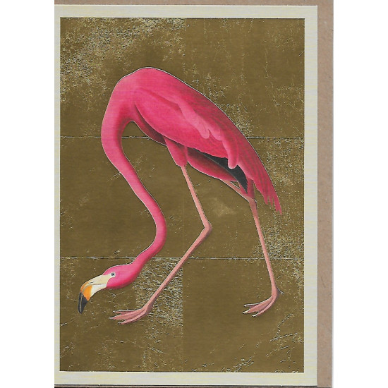 OHD Cards - Greater Flamingo Greeting Card