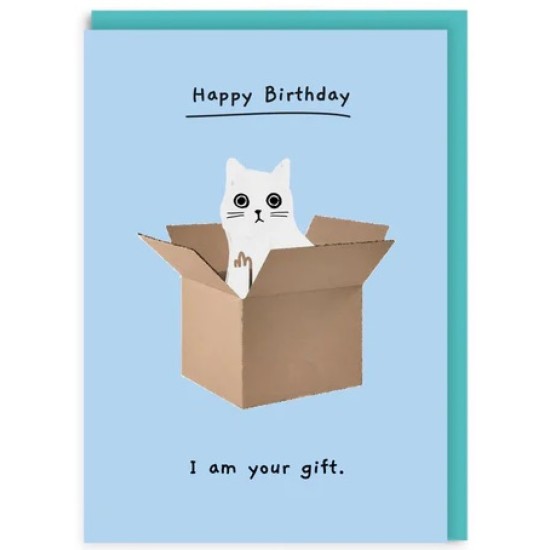 OHD Cards - I am Your Gift Cat Box Birthday Card