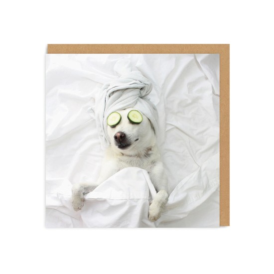 OHD Cards - Pampered Pooch Square Greeting Card (DELIVERY TO EU ONLY)