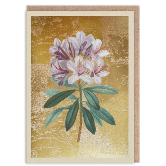 OHD Cards - Rhodedendron Mini Greeting Card