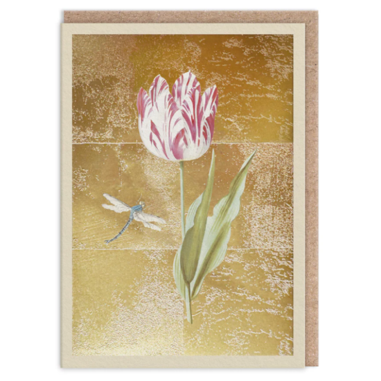 OHD Cards - Tulip Mini Greeting Card