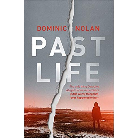 Past Life : the most gripping crime debut of 2019 - Dominic Nolan