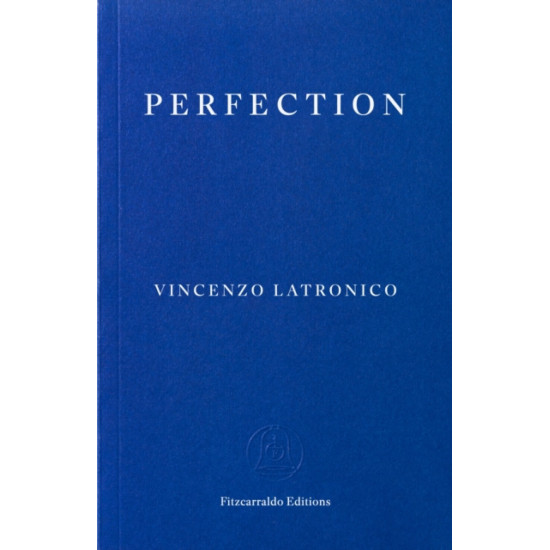 Perfection - Vincenzo Latronico