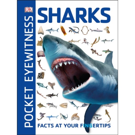 Pocket Eyewitness: Sharks