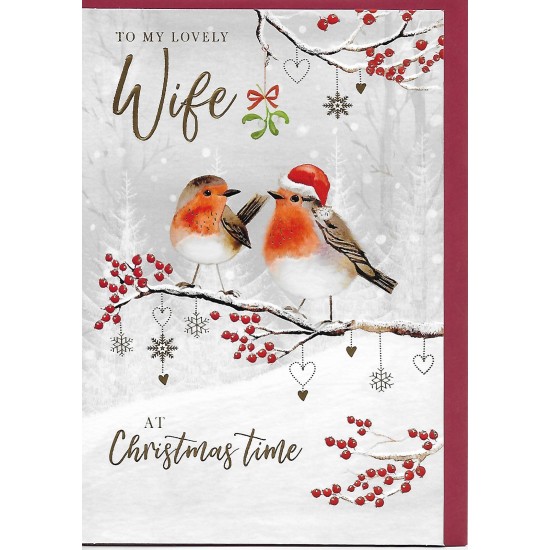 PS Christmas Card - Lovely Wife Robins