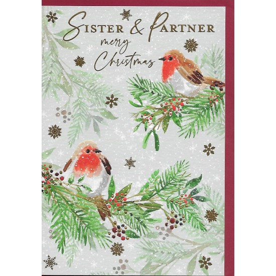 PS Christmas Card - Sister and Partner
