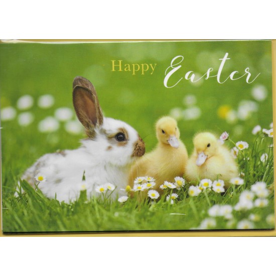 PS Easter - 5 Card Pack Bunny etc photo