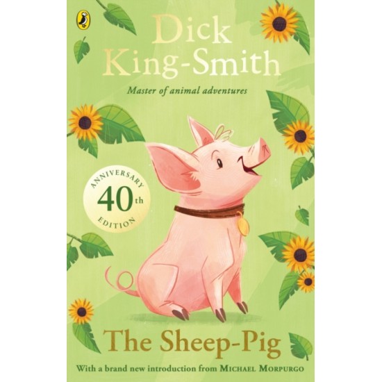 Queens Year 3 Reading Bundle
