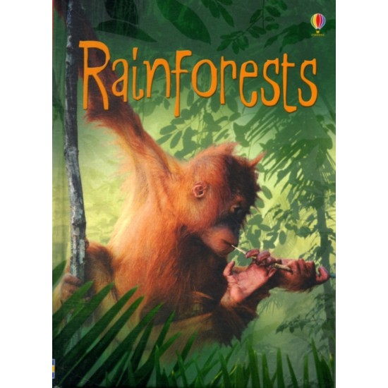 Rainforests (Usborne Beginners) DELIVERY TO EU ONLY