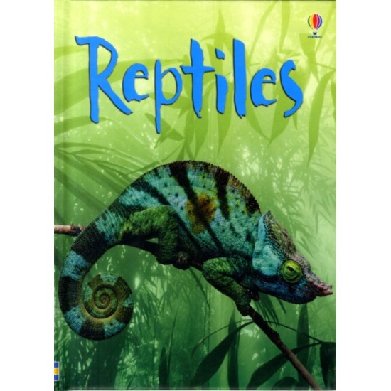 Reptiles (Usborne Beginners) DELIVERY TO EU ONLY