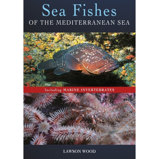 Sea Fishes Of The Mediterranean Including Marine Invertebrates