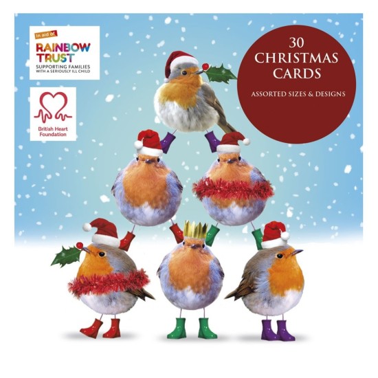 SGILKS Boxed Charity Christmas Cards - 30 cards Various designs Robin Cover (DELIVERY TO EU ONLY)