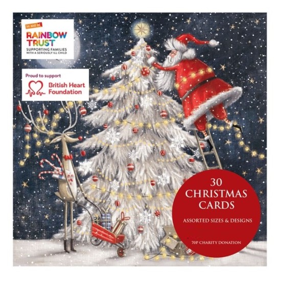 SGILKS Boxed Charity Christmas Cards - 30 cards Various designs Santa Up a Ladder Cover (DELIVERY TO EU ONLY)