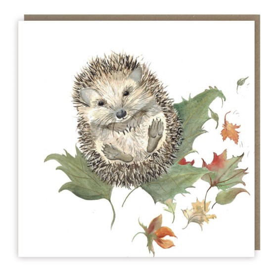 SGILKS Card - Blank Story Card Mr Prickles Hedgehog (DELIVERY TO EU ONLY)