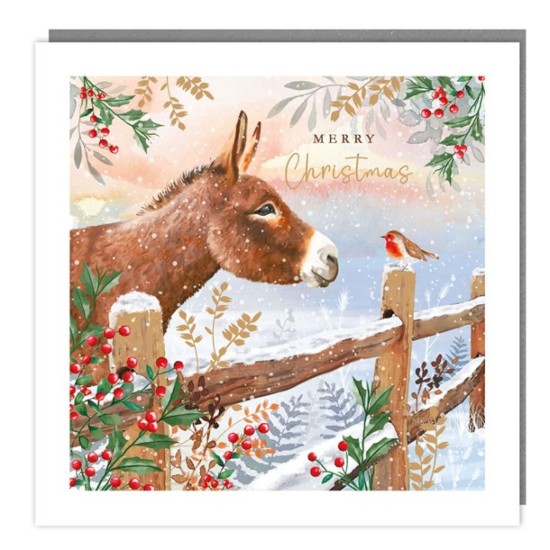 SGILKS Charity Christmas Card Pack - Donkey and Robin (DELIVERY TO EU ONLY)