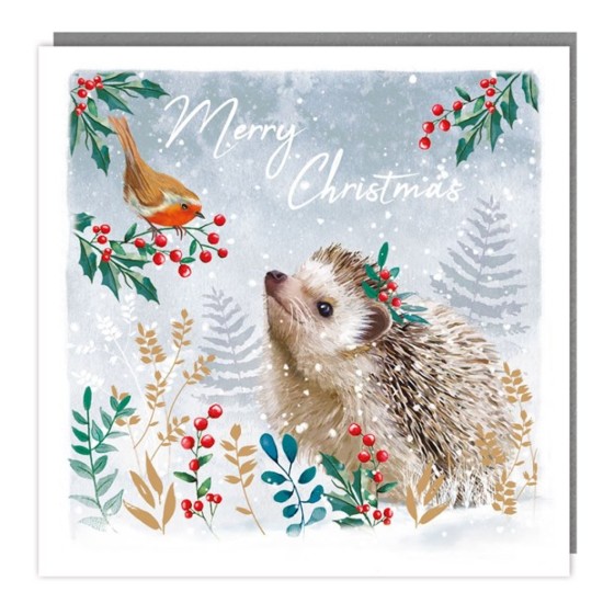 SGILKS Charity Christmas Card Pack - Hedgehog and Robin (DELIVERY TO EU ONLY)