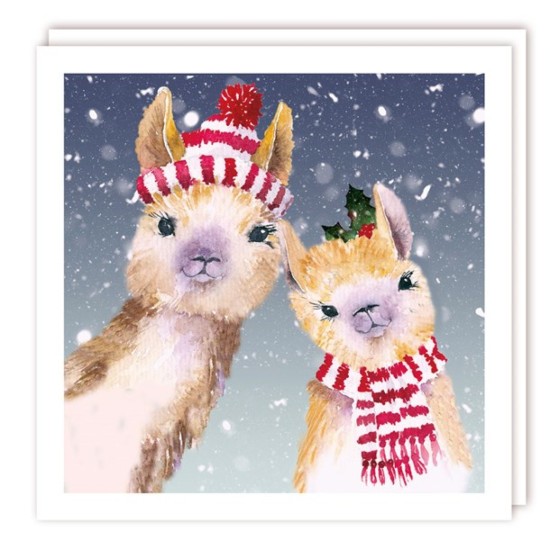 SGILKS Charity Christmas Card Pack - Llamas (DELIVERY TO EU ONLY)