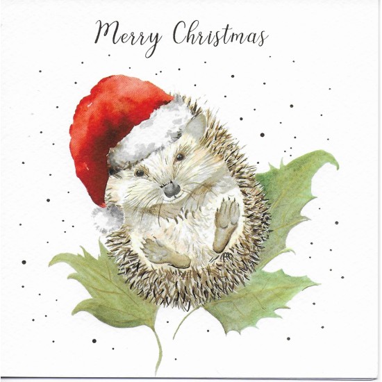 SGILKS Christmas Card Pack : Story Cards -  Mr Prickles (DELIVERY TO EU ONLY)