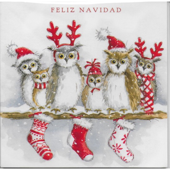 SGILKS Spanish Christmas Cards 5 pack - Owls (DELIVERY TO SPAIN ONLY)