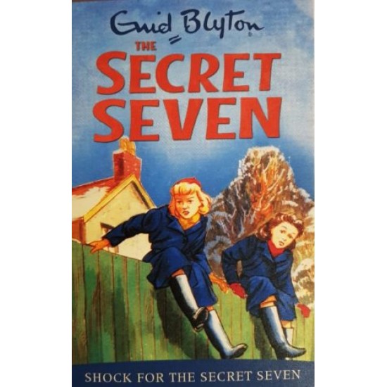 Shock for the Secret Seven - Enid Blyton (DELIVERY TO EU ONLY)