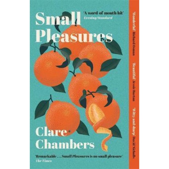 Small Pleasures - Clare Chambers