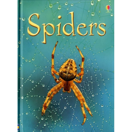 Spiders (Usborne Beginners) DELIVERY TO EU ONLY