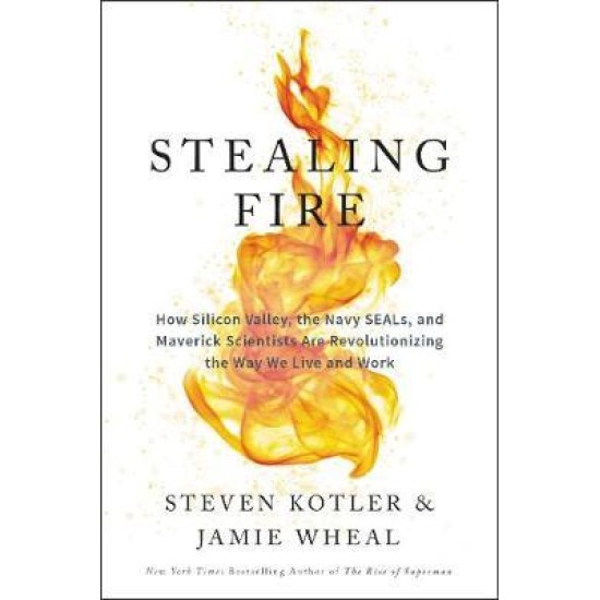 Stealing Fire - Steven Kotler