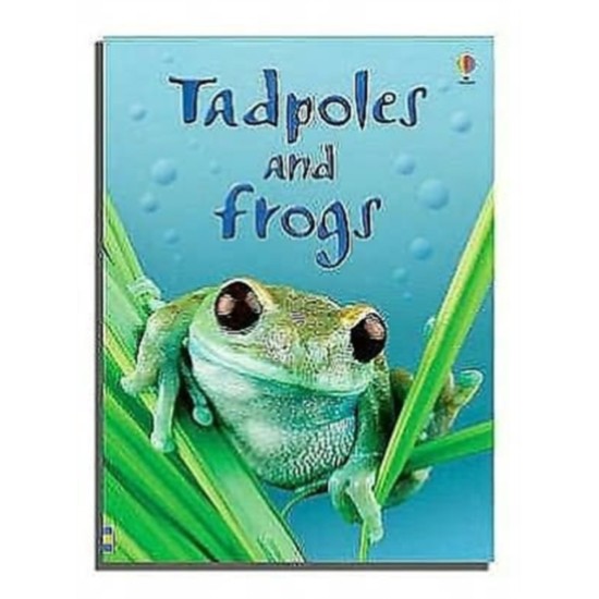 Tadpoles and Frogs (Usborne Beginners) DELIVERY TO EU ONLY