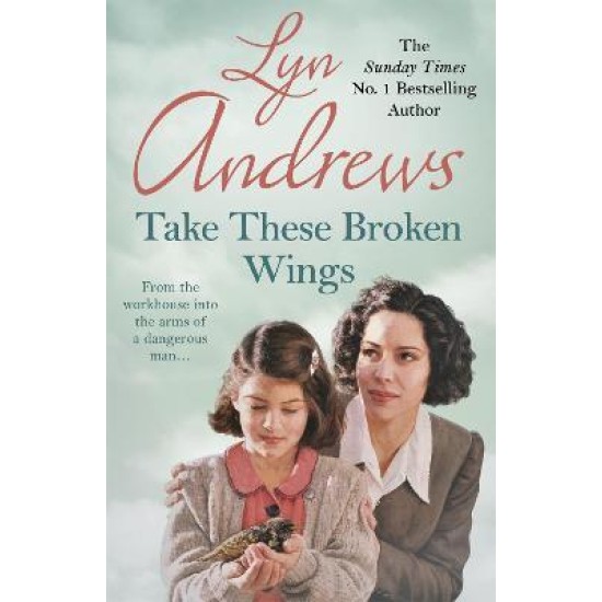 Take these Broken Wings - Lyn Andrews (DELIVERY TO EU ONLY)