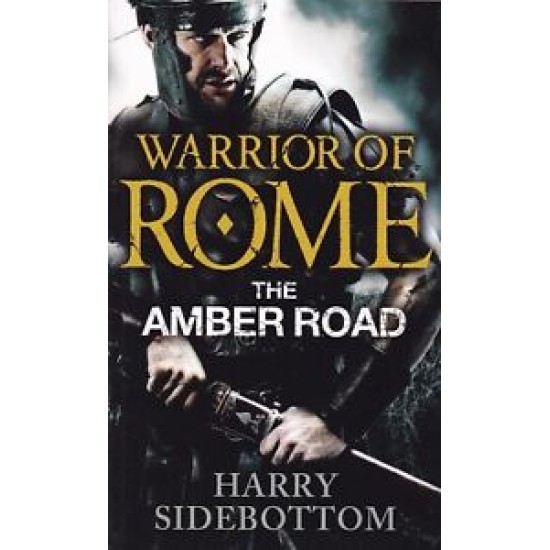 The Amber Road - Harry Sidebottom (Warrior of Rome 6)