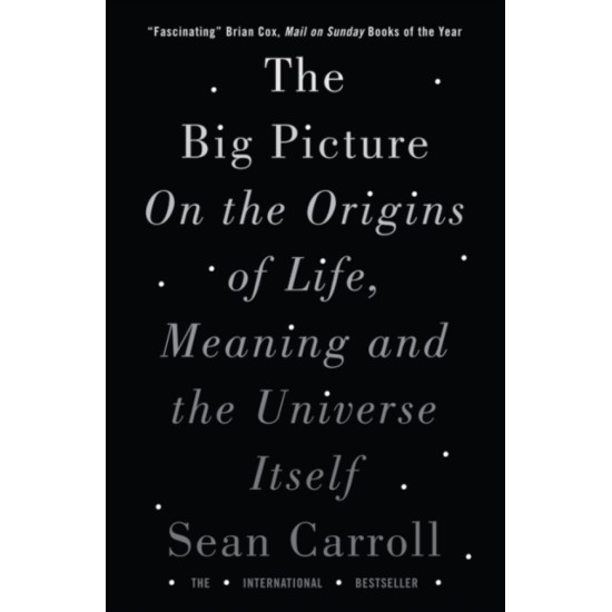 The Big Picture : On the Origins of Life, Meaning, and the Universe Itself - Sean Carroll