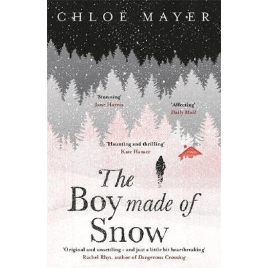 The Boy Made of Snow - Chloe Mayer
