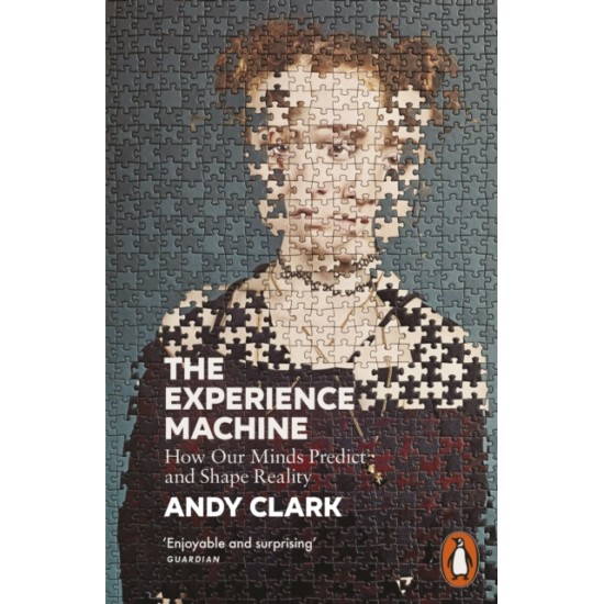 The Experience Machine - Andy Clark.