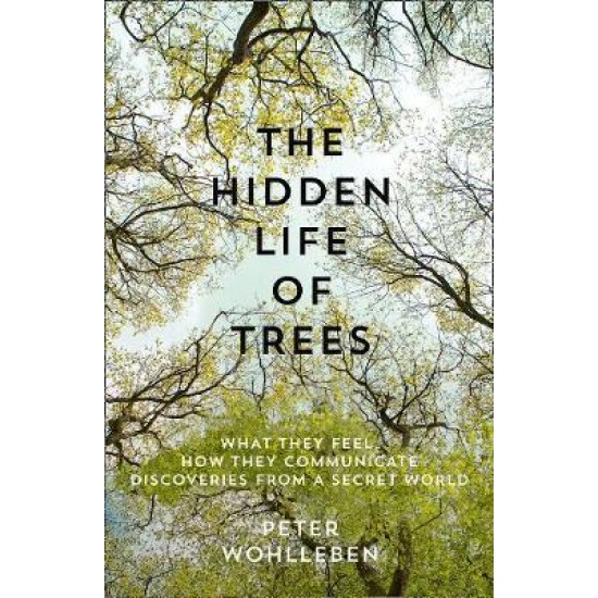 The Hidden Life of Trees : The International Bestseller - What They Feel, How They Communicate