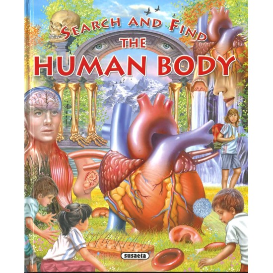 The Human Body (Search and find)