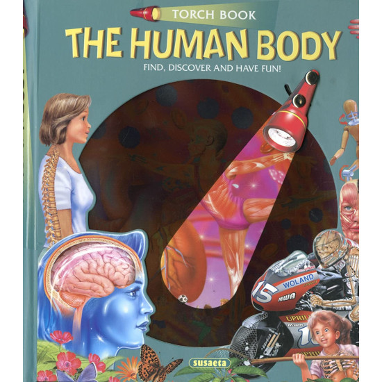 The Human Body (Torch Book)