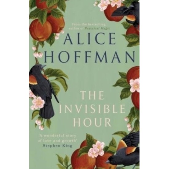 The Invisible Hour - Alice Hoffman 