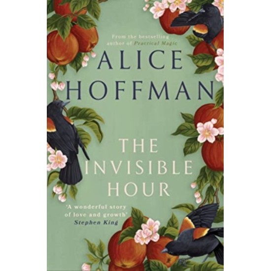 The Invisible Hour - Alice Hoffman 
