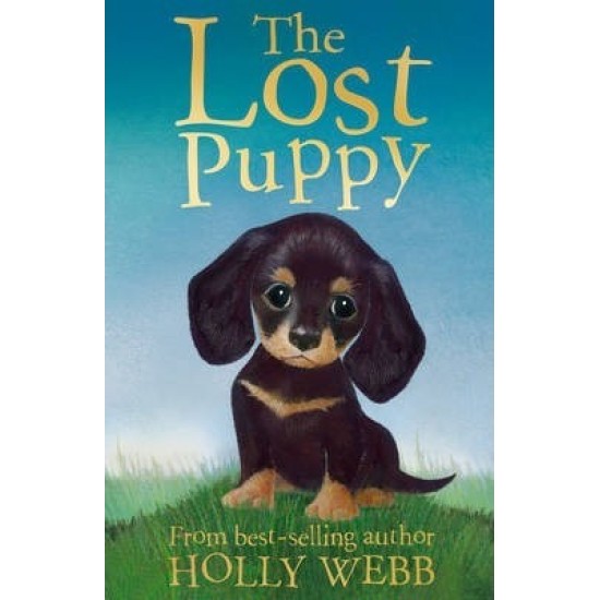 The Lost Puppy (Puppy & Kitten Rescue Series) - Holly Webb