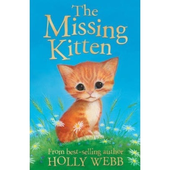 The Missing Kitten (Puppy & Kitten Rescue Series) - Holly Webb