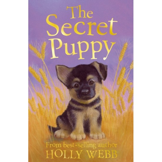 The Secret Puppy (Puppy & Kitten Rescue Series) - Holly Webb