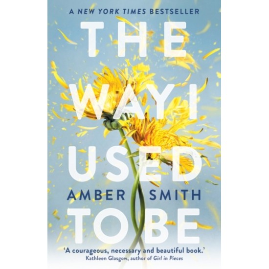 The Way I Used to Be - Amber Smith : TikTok made me buy it!